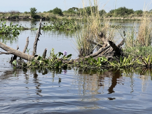 Argentina-Corrientes-March-2023-26