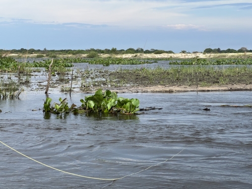 Argentina-Corrientes-March-2023-40