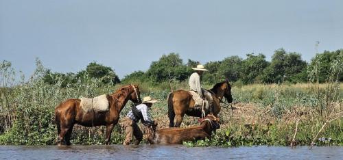 Argentina-Corrientes-Marzo-2024-0013