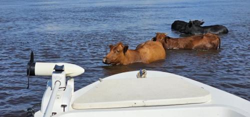 Argentina-Corrientes-Marzo-2024-0014