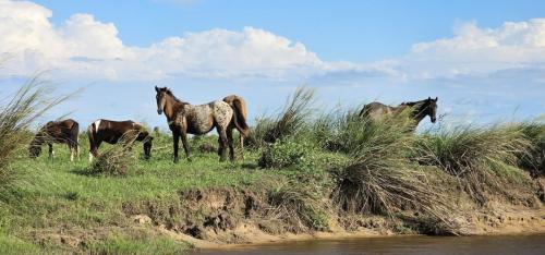 Argentina-Corrientes-Marzo-2024-0015