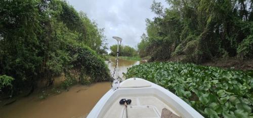 Argentina-Corrientes-Marzo-2024-0022