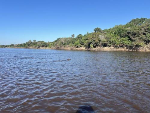 Argentina-Corrientes-Marzo-2024-0061