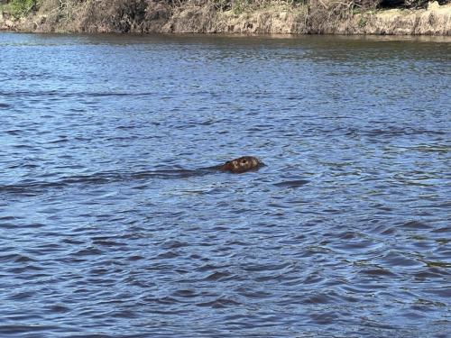 Argentina-Corrientes-Marzo-2024-0062