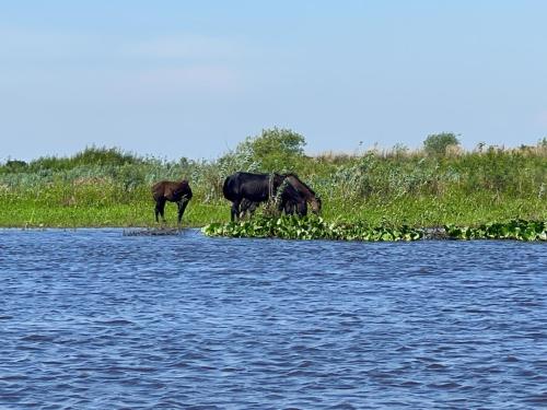 Argentina-Corrientes-Marzo-2024-0069