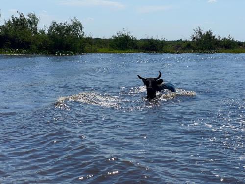 Argentina-Corrientes-Marzo-2024-0070