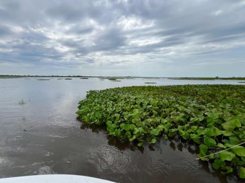 Argentina-Corrientes-Marzo-2024-0079