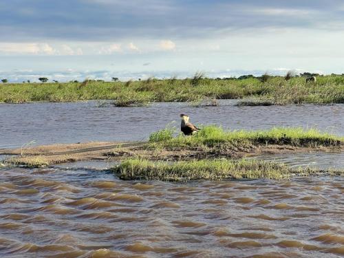 Argentina-Corrientes-Marzo-2024-0089