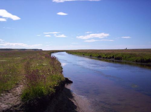 Argentina-Tierra-del-Fuego-0014