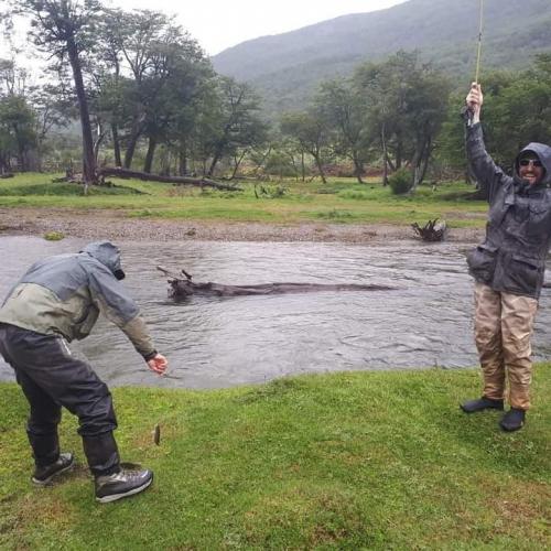 Argentina-Tierra-del-Fuego-0016