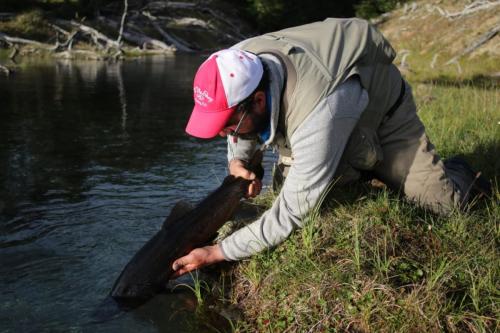 Argentina-Tierra-del-Fuego-0024