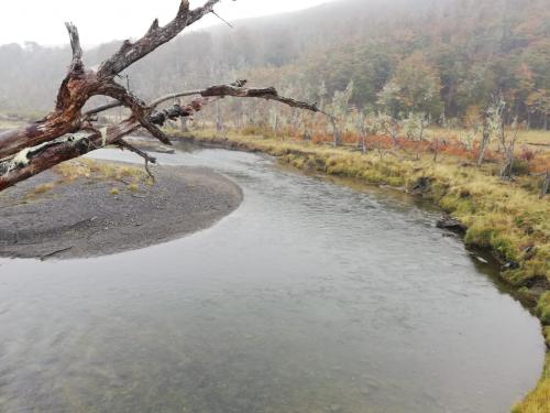 Argentina-Tierra-del-Fuego-0031