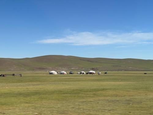 Central-Mongolia-June-2024170