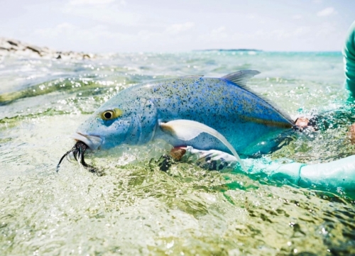 Cocos-Keeling-Islands110