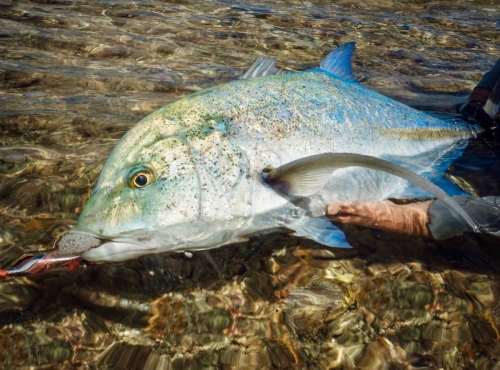 Cocos-Keeling-Islands80