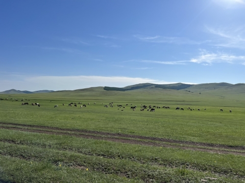 Mongolia-NE-Giugno-2023-142