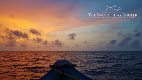 The Wandering Angler - August 2019  Family Group (holidays  fishing) 0016