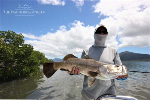 The Wandering Angler - Australia Lodge016