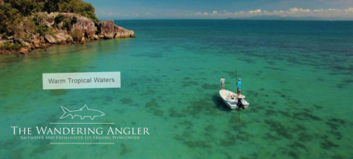 The Wandering Angler - Australia Lodge056