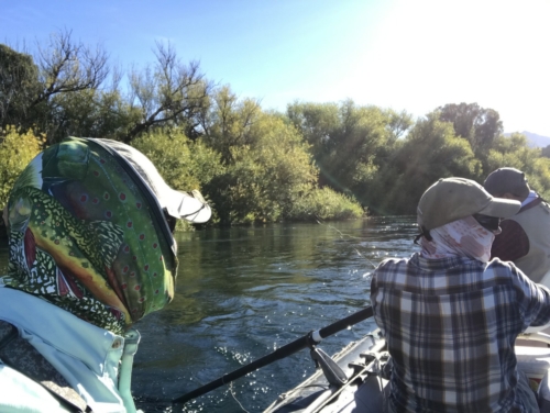 The Wandering Angler - Chubut province March 2019 trip0046