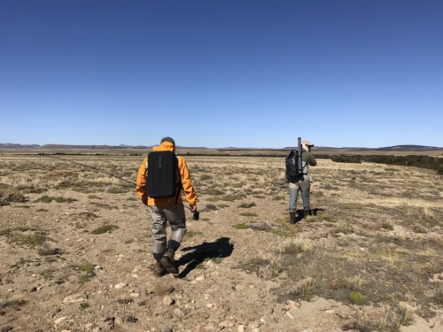 The Wandering Angler - Chubut province March 2019 trip0087 (2)