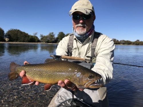 The Wandering Angler - Chubut province March 2019 trip0095 (4)