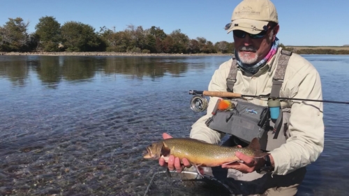 The Wandering Angler - Chubut province March 2019 trip0097