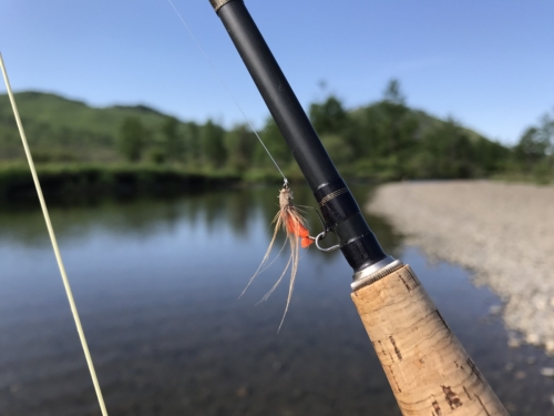 The Wandering Angler - June 2019 -0162