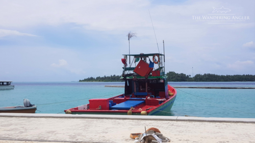 The Wandering Angler - Main Island  Lodge 0037