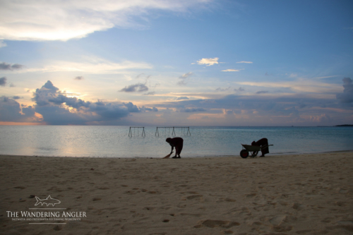 The Wandering Angler - Main Island  Lodge 0041