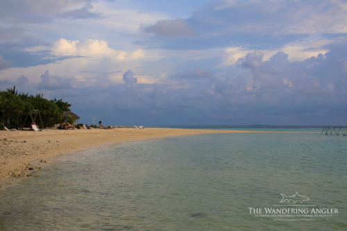 The Wandering Angler - Main Island  Lodge 0058