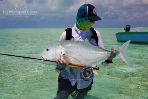 The Wandering Angler - Maldives Lodge0036