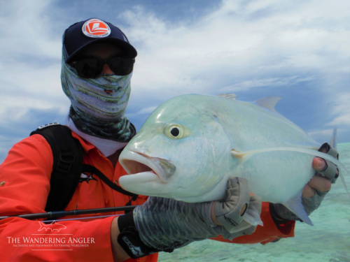 The Wandering Angler - Maldives Lodge0037