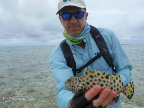 The Wandering Angler - Maldives Lodge0049