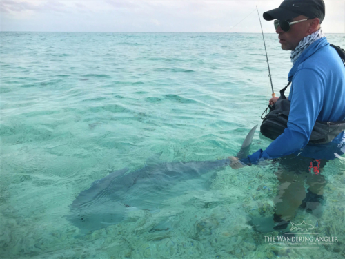 The Wandering Angler - Maldives Lodge0052