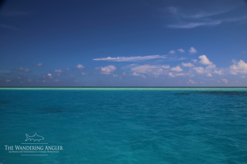 The Wandering Angler - Maldives Lodge0095