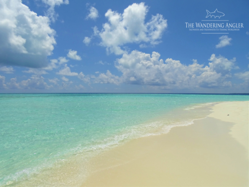 The Wandering Angler - Maldives Lodge0110