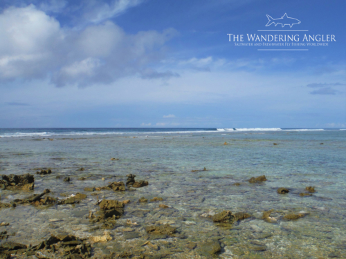 The Wandering Angler - Maldives Lodge0116