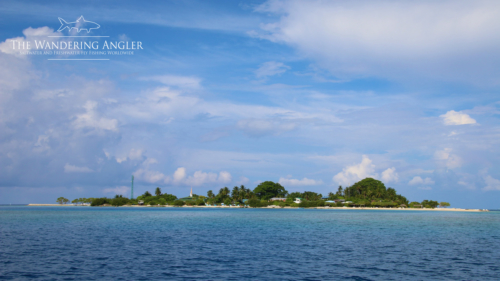 The Wandering Angler - Maldives Lodge0120