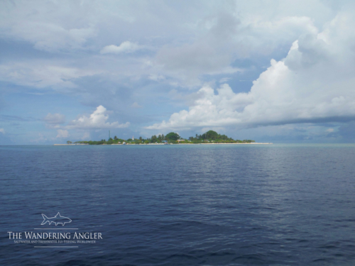 The Wandering Angler - Maldives Lodge0121