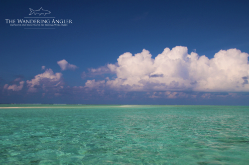 The Wandering Angler - Maldives Lodge0123