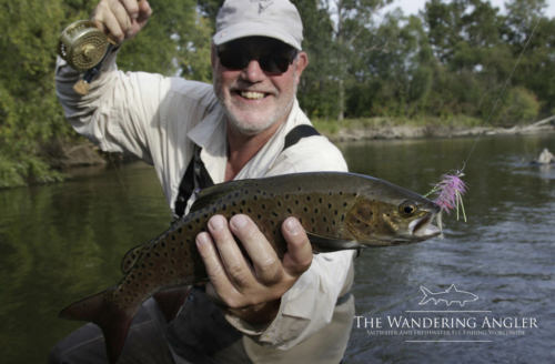 The Wandering Angler - Mongolia taimen0020