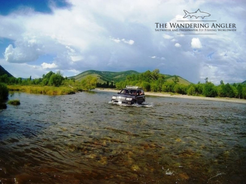 The Wandering Angler - Mongolia taimen0022