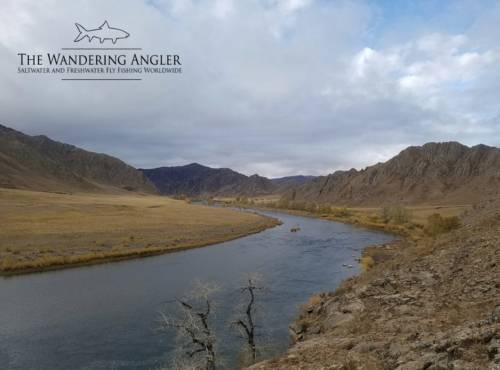 The Wandering Angler - Mongolia taimen0023 (1)