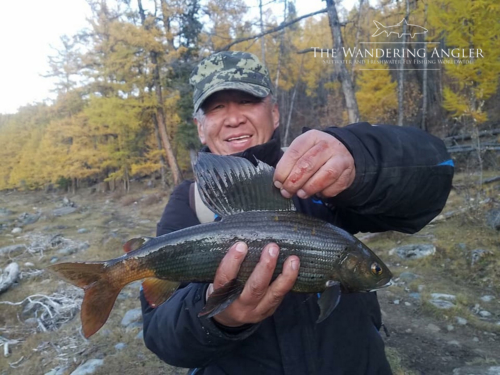 The Wandering Angler - Mongolia taimen0024