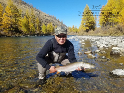 The Wandering Angler - Mongolia taimen0026