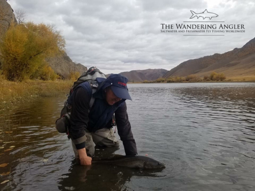 The Wandering Angler - Mongolia taimen0027 (1)