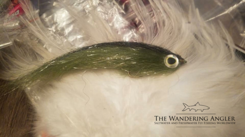 The Wandering Angler - Mongolia taimen0029