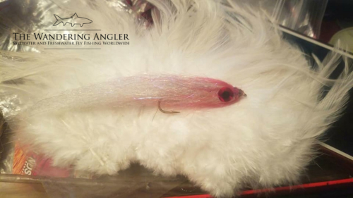 The Wandering Angler - Mongolia taimen0030 (1)