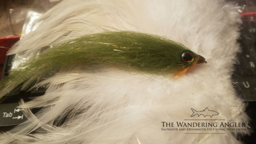 The Wandering Angler - Mongolia taimen0033